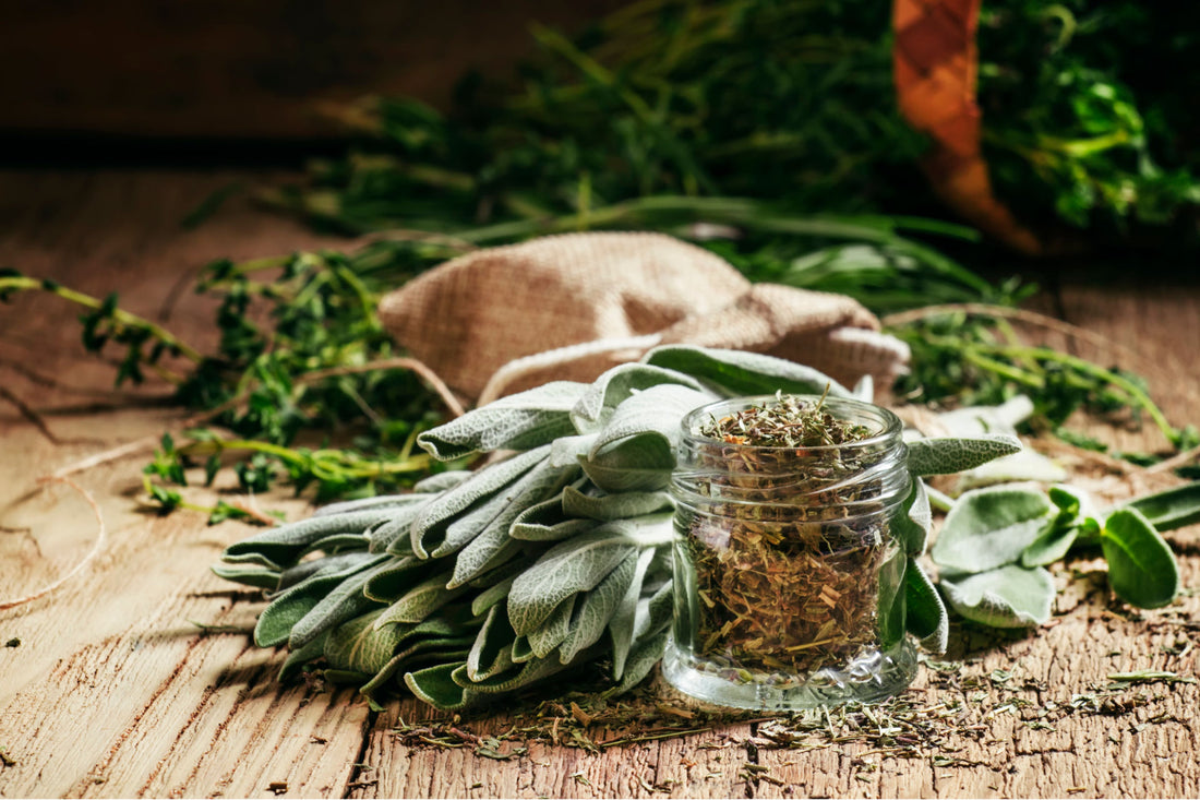 Le Erbe Aromatiche nell'Alimentazione Quotidiana