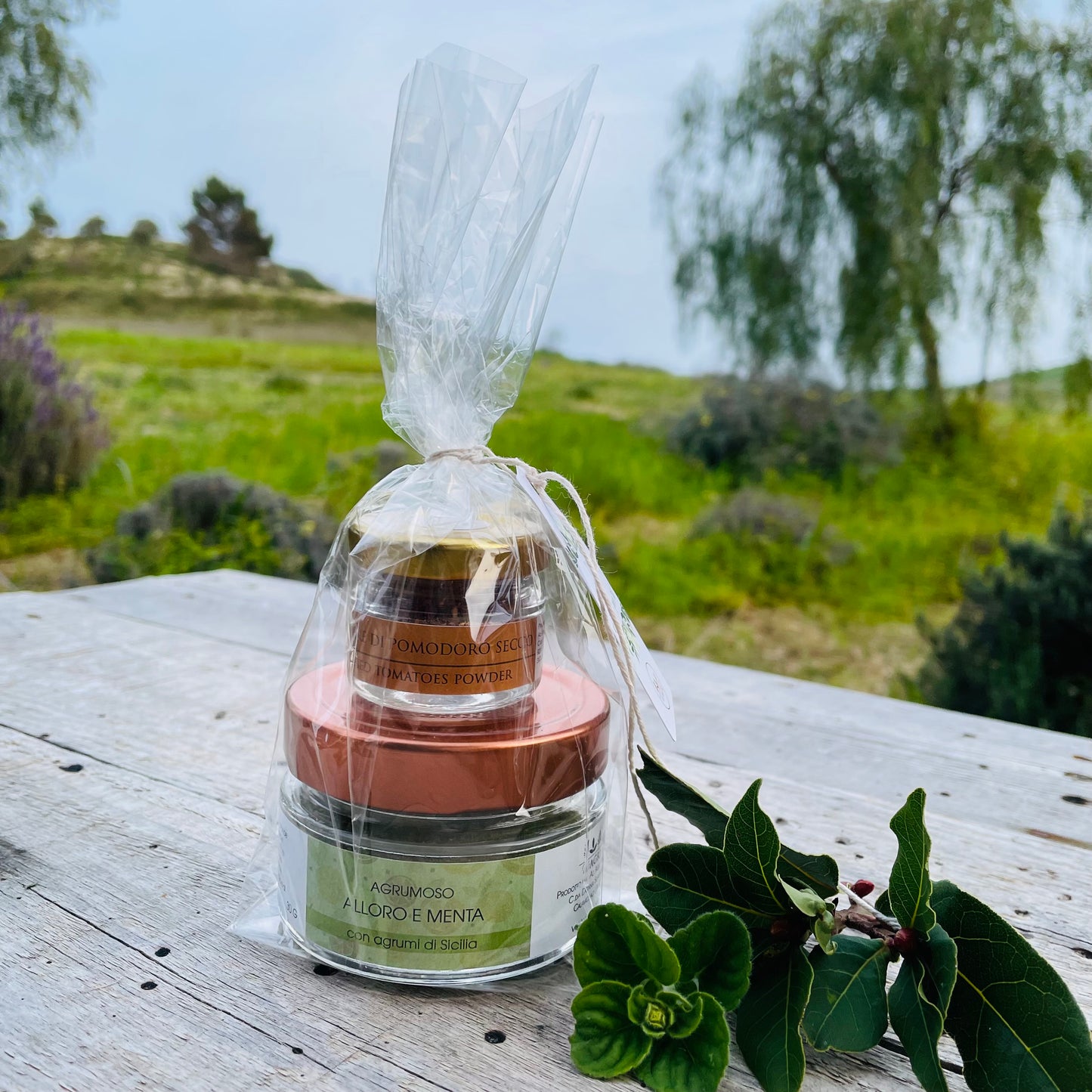 Piccoli Pensieri Agrumosi - VisAgri