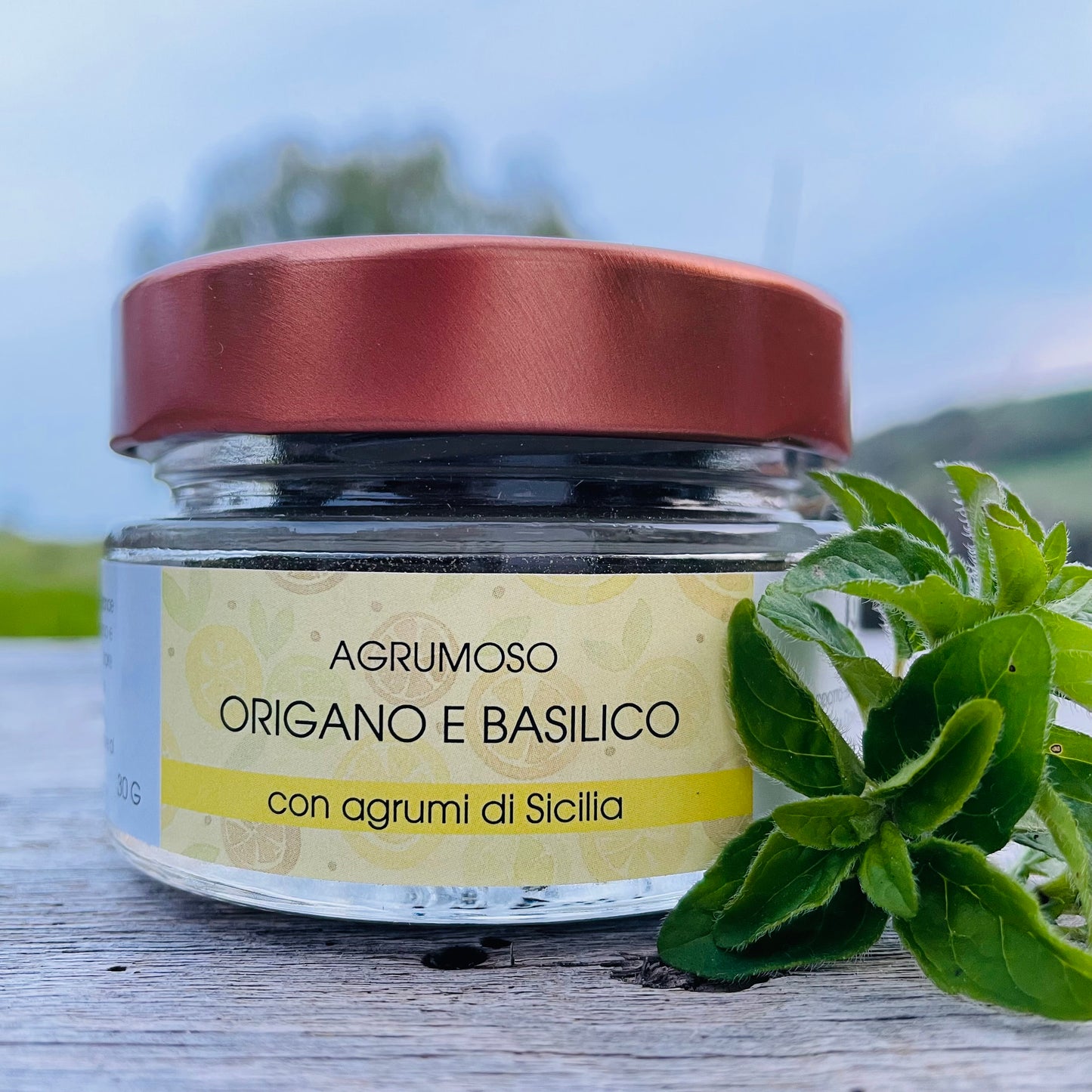 Agrumoso - Origano e Basilico 30g- SENZA SALE - VisAgri