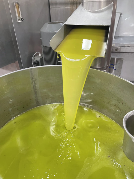 Come Riconoscere un Autentico Olio Extravergine d'oliva
