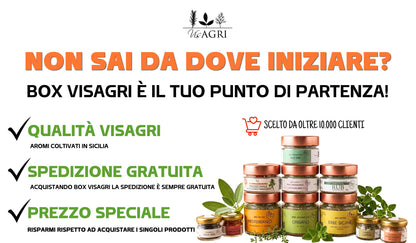 Box Visagri NEW