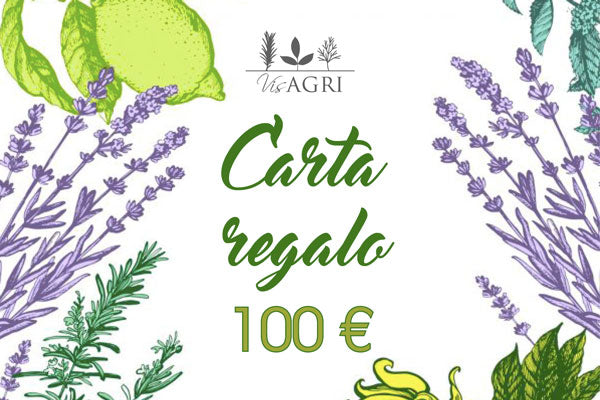 carta regalo visagri 100 euro