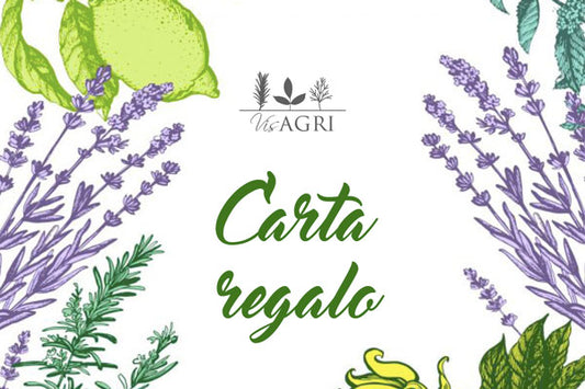 Carta regalo VisAgri - VisAgri