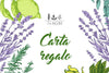 Carta regalo VisAgri